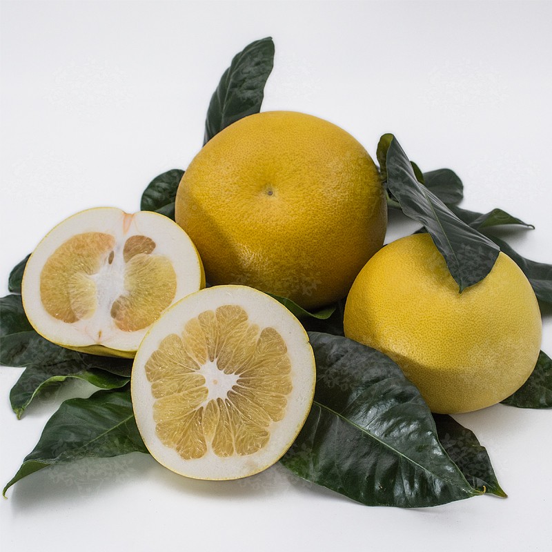 Помело Као Пан / Pomelo Kao Pan — цитрусовое растение, детальное фото
