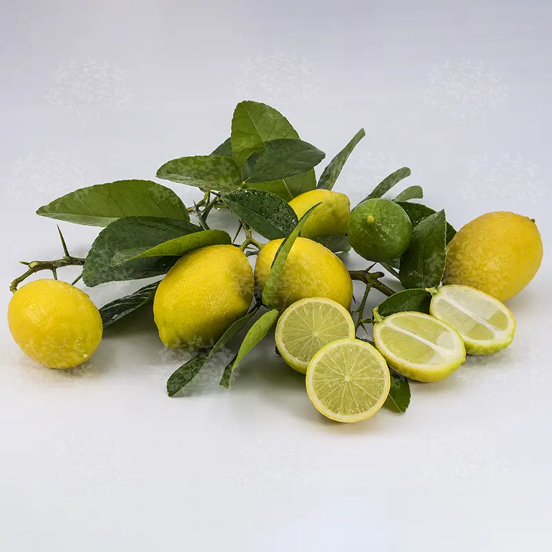 Лайм / Lime du Mohtasseb" — цитрусовое растение, детальное фото

