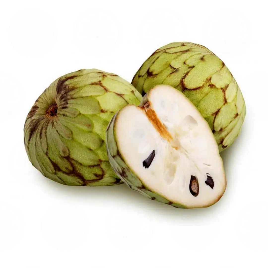 Аннона черимойя "Fino De Jete" / Cherimoya "Fino De Jete"