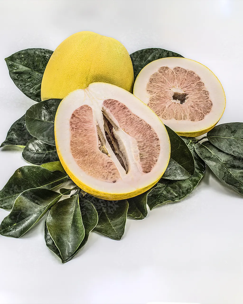 Помело Фрутто Роса / Pomelo a frutto rosa — цитрусовое растение, детальное фото
